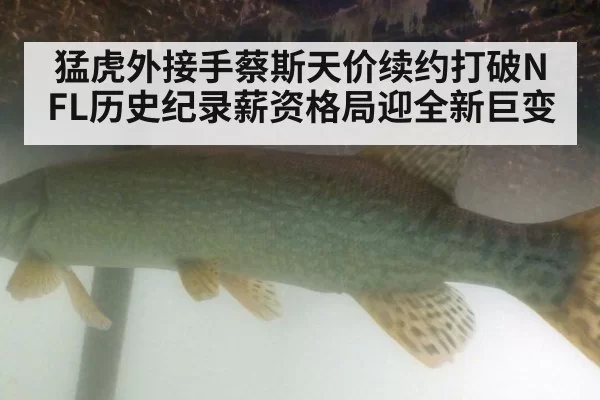 猛虎外接手蔡斯天价续约打破NFL历史纪录薪资格局迎全新巨变